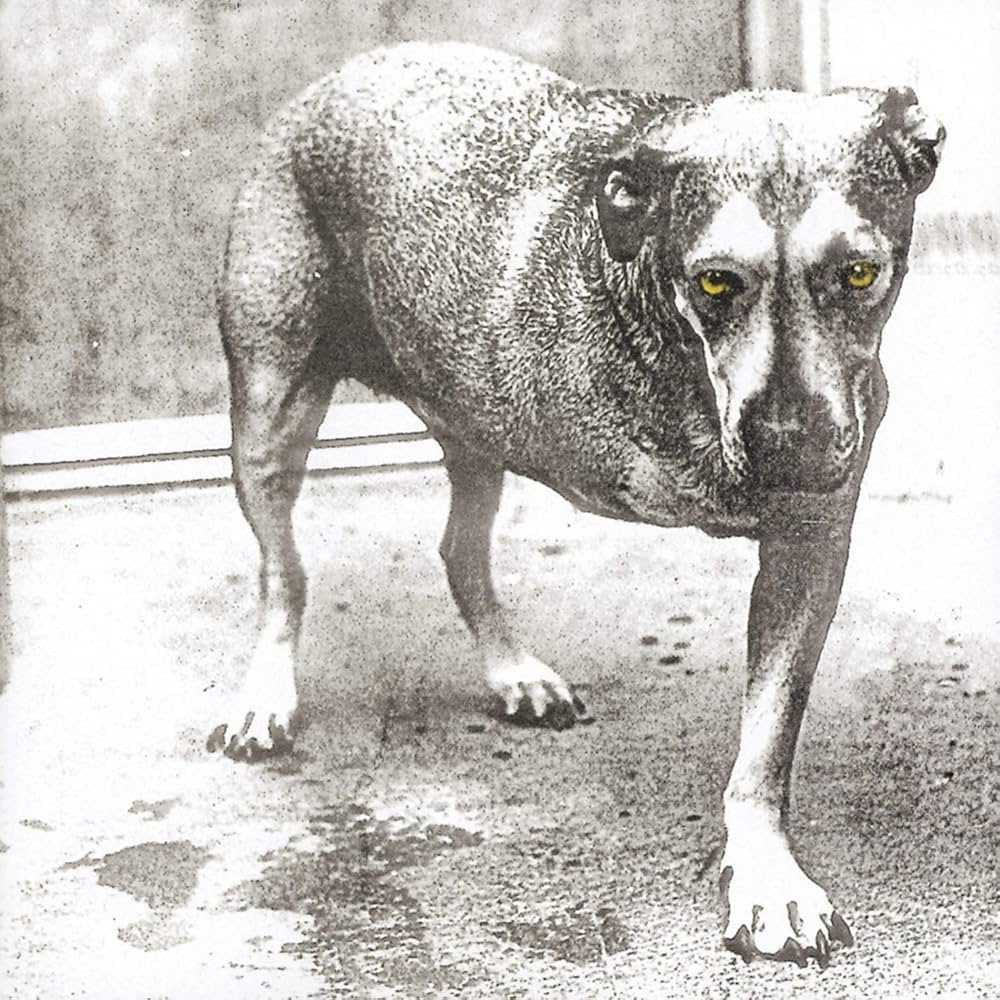 Alice in Chains (self titled)